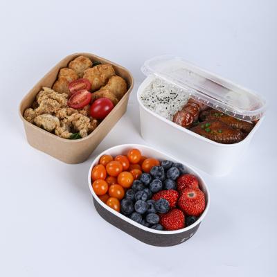 Biodegradable rectangular paper bowl with lid supplier