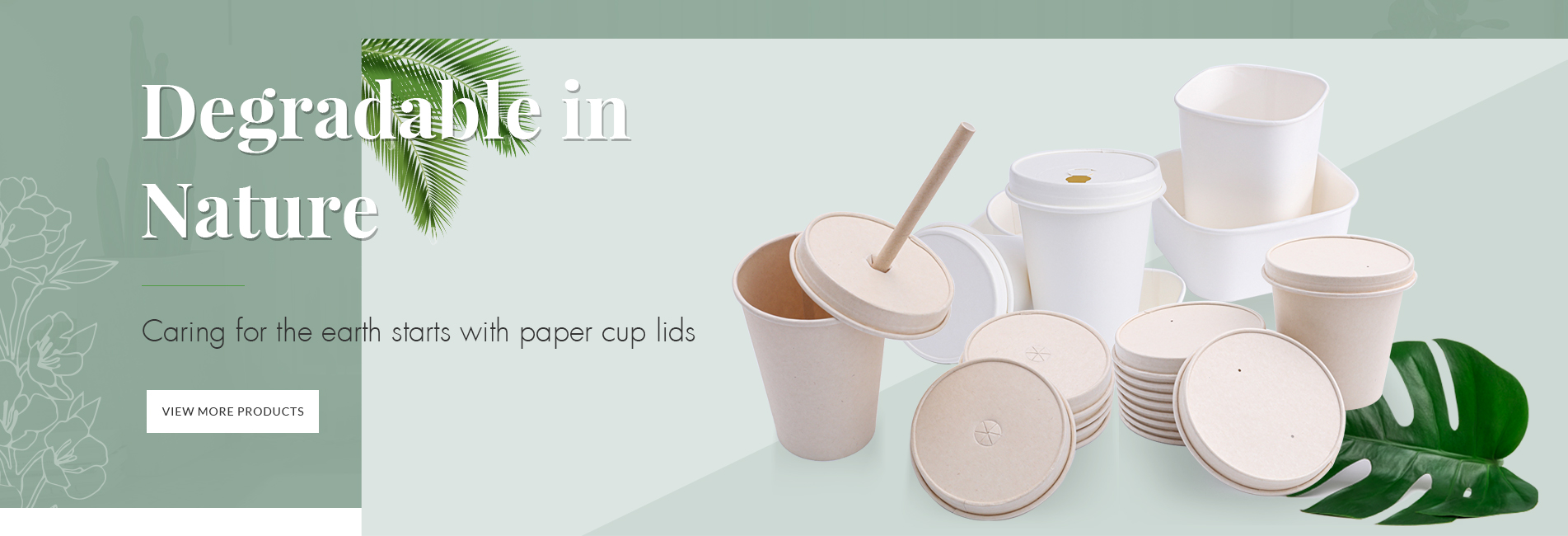 eco friendly disposable cups