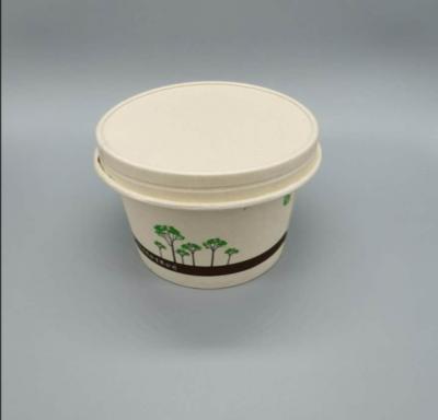 Sugarcane bagasse paper rectangular bowls with lids