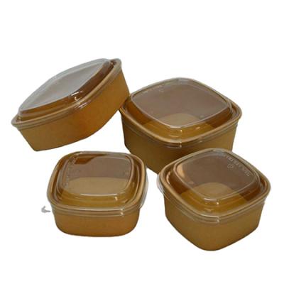 Bio-based coating square paper salad bowls with lids
