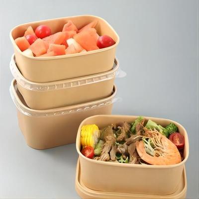 High Quality Biodegradable Rectangular Paper Bowl