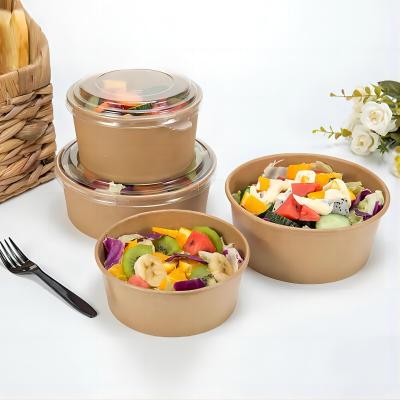 Biodegradable salad paper bowl