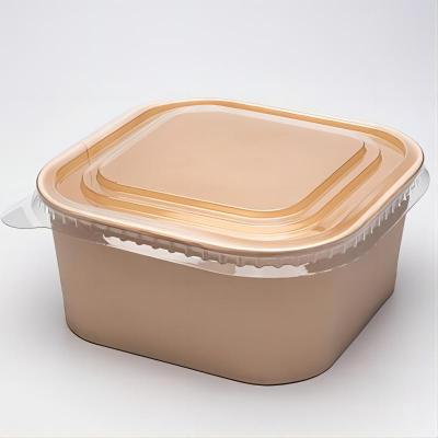 Biodegradable Square Kraft Paper Food Container