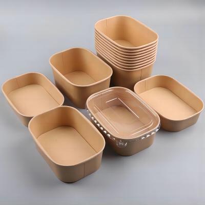 Disposable eco-friendly rectangular paper bowl