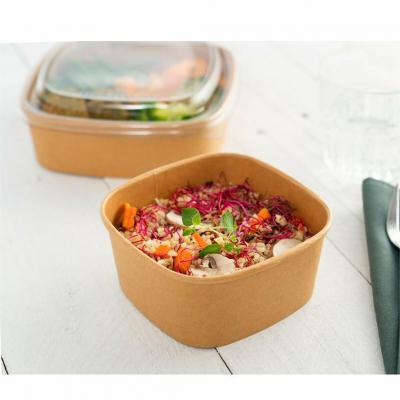 Disposable Microwaveable Square Paper Bowl