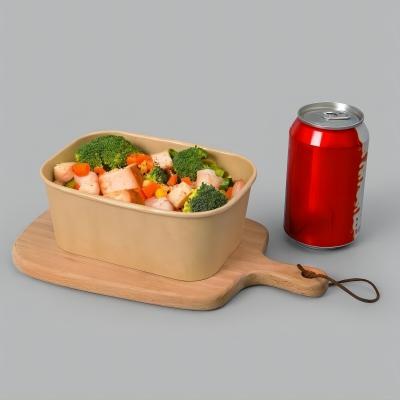 Disposable eco-friendly rectangular paper bowl