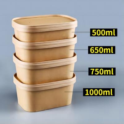 Custom Takeaway Rectangular Food Packing Containers