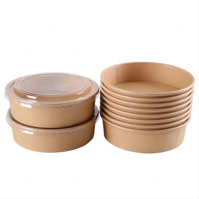 Biodegradable Salad Bowl With PLA Coating