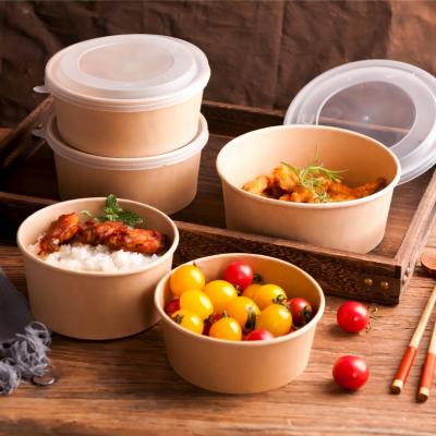Biodegradable Take Away Food Container Salad Bowl