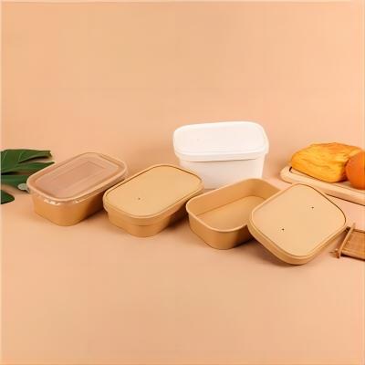 Eco Friendly Rectangular Take out Food Paper Containers