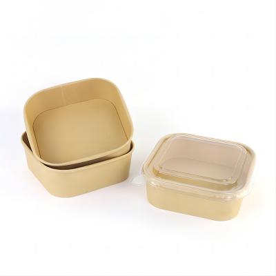 Biodegradable Disposable Food Packaging Container