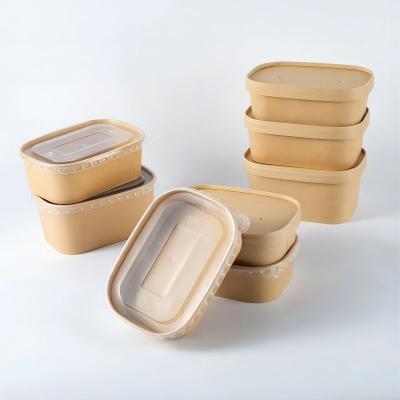 Compostable Eco Friendly Rectangular Paper Bowl