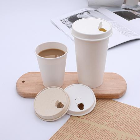 Quality Test of Biodegradable Paper Cup With Paper Lid